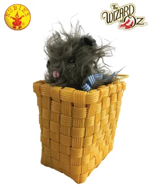 Toto In A Basket